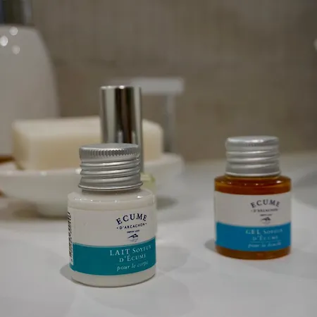 Loft Cosy Au Coeur D'arcachon ! *