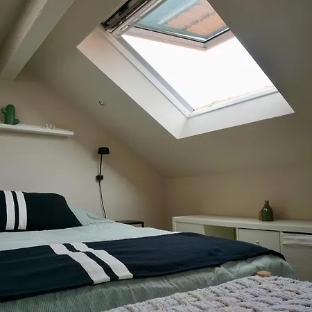 Apartment Loft Cosy Au Coeur D'arcachon ! *
